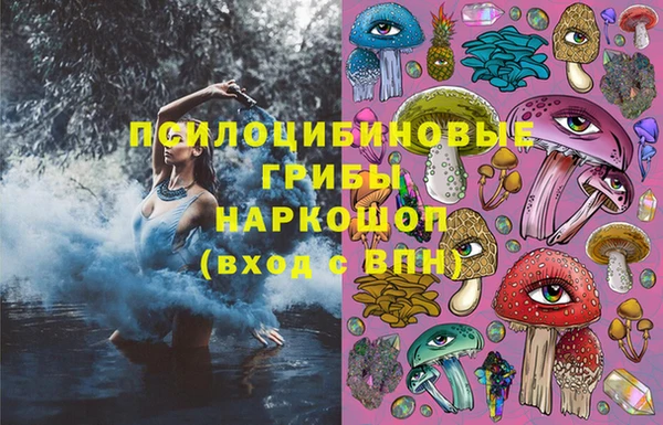 хмурый Алексеевка