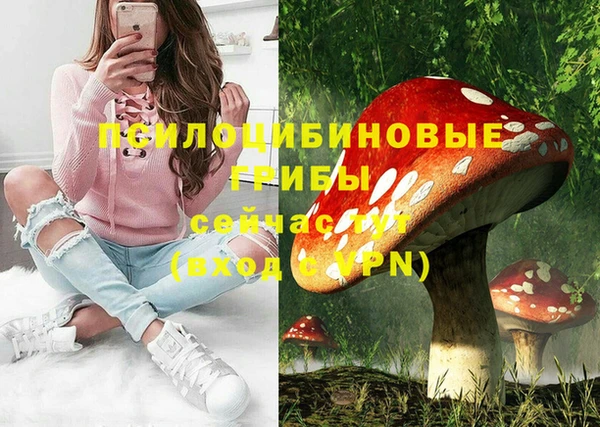 гашик Алзамай