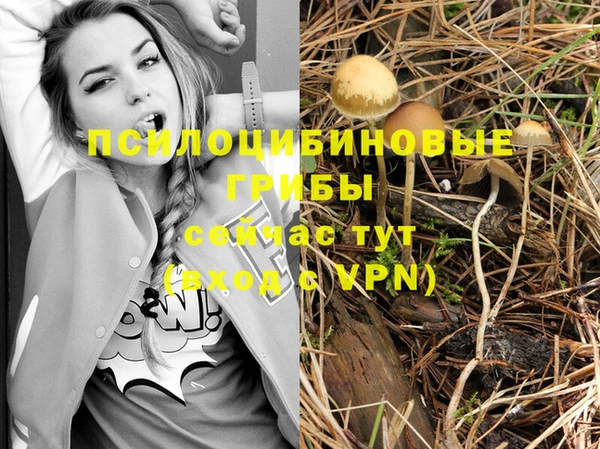 хмурый Алексеевка