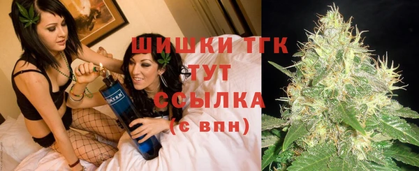 гашик Алзамай