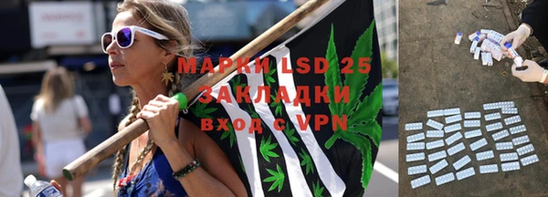 гашик Алзамай