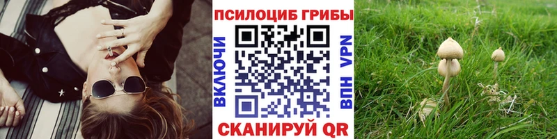 Галлюциногенные грибы прущие грибы  где можно купить   Бирюч 